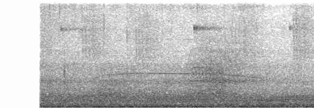 Bakır Belli Kolibri - ML482561611