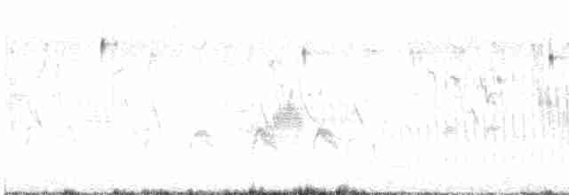 Weißbürzelschwalbe - ML482569071