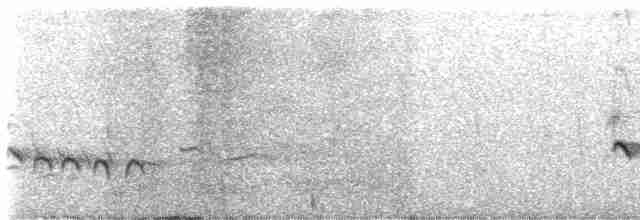 Белокрылый тугайный соловей - ML482711741