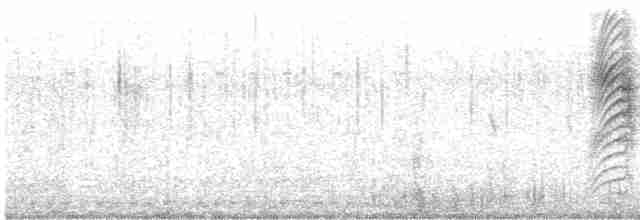 白胸燕鵙 - ML482723851