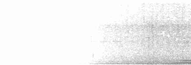 holub šedohlavý - ML482724911