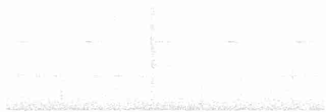 Black Tinamou - ML48273311