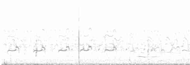 Western Grebe - ML482753321