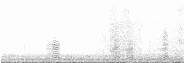Ibis à face blanche - ML482759111