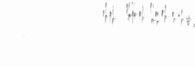 Troglodyte de Santa Marta - ML48276501