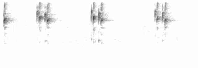 Troglodyte de Santa Marta - ML48276511