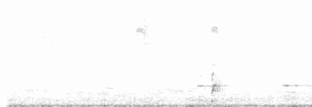 Spotless Crake - ML482827881