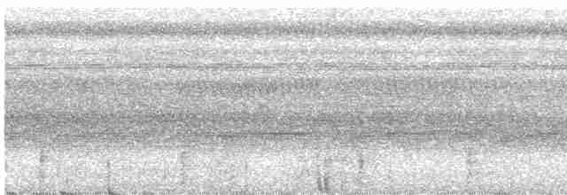 Kara Kanatlı Borazankuşu - ML482855791