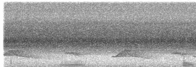 Channel-billed Toucan - ML482855931