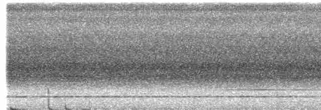 Cinereous Tinamou - ML482856001