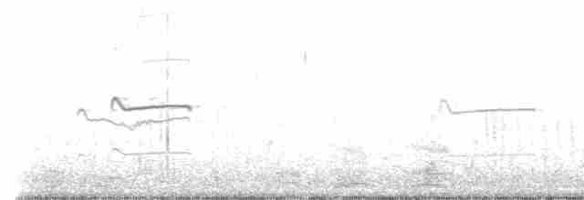 Короткоклювый бекасовидный веретенник - ML482864461
