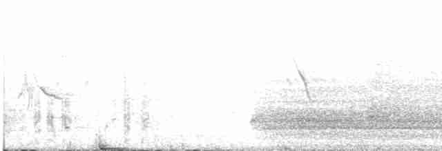 Щеврик довгодзьобий (підвид chyuluensis) - ML482936261