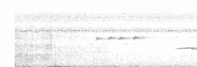 Güneyli Kestanerengi Karıncakuşu - ML482995751