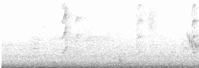Щурик сірогорлий - ML483055161