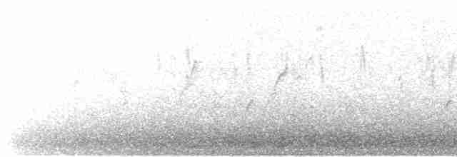 Cisne Negro - ML483112201