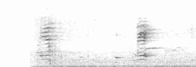 Медолюб-сережник східний - ML483133151
