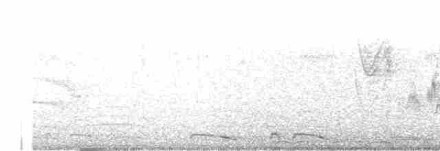 Oriole à épaulettes (cayanensis) - ML483134901