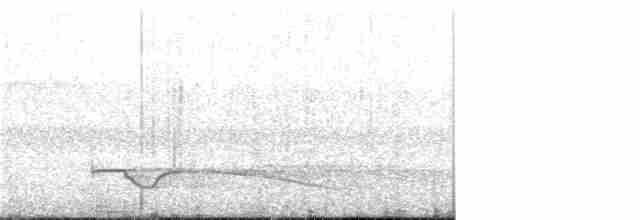 Great Eared-Nightjar - ML48323631