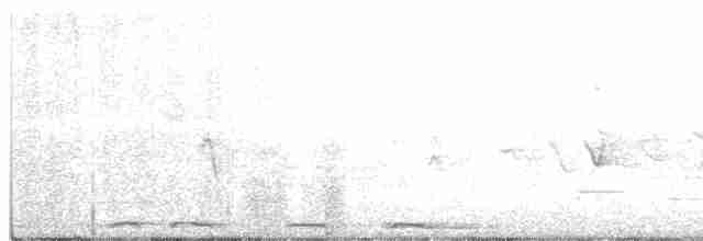 Белокрылая горлица - ML483250131