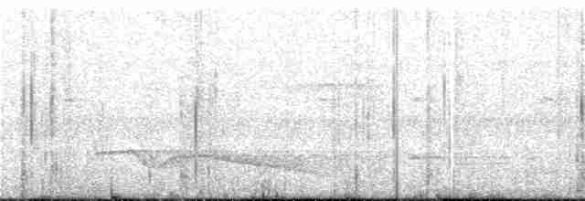 Great Eared-Nightjar - ML48325471