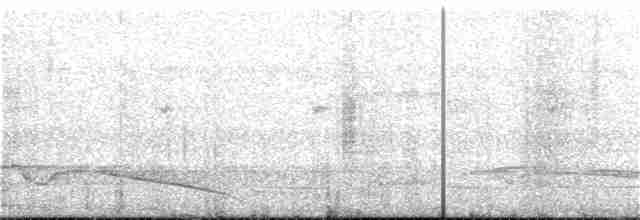 Great Eared-Nightjar - ML48327131