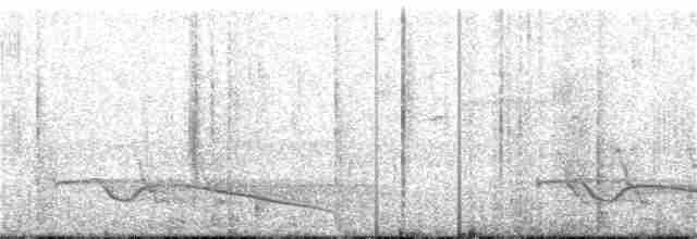 Great Eared-Nightjar - ML48327921