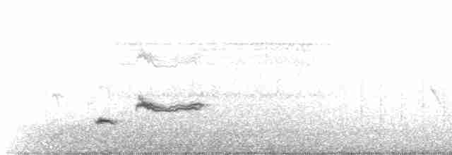 Long-tailed Mockingbird - ML483301051