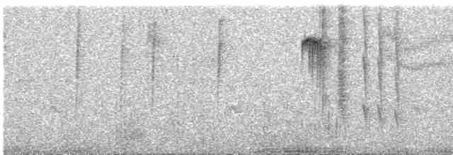 Kara Boğazlı Kolibri - ML483327961
