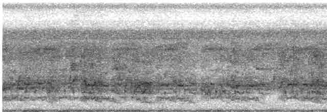 Weißstirnamazone - ML483335661