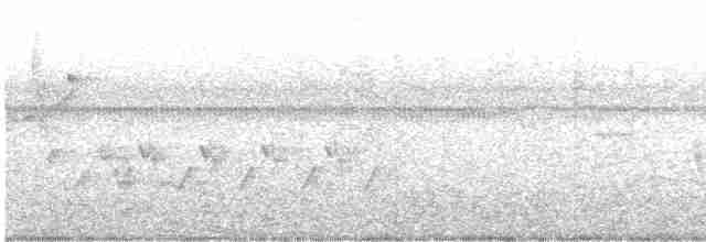 Зерноїд острівний - ML483357161