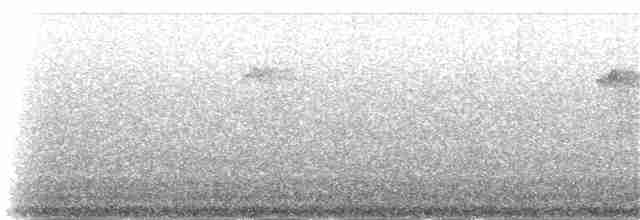 Зелёный колибри-отшельник - ML48342841