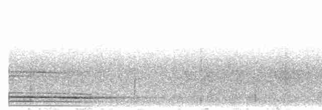 Серобрюхий трагопан - ML483474961