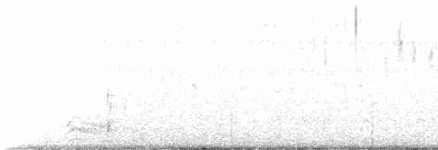 Кайеннский чибис - ML483502881