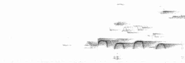 Bornean Whistler - ML483509911