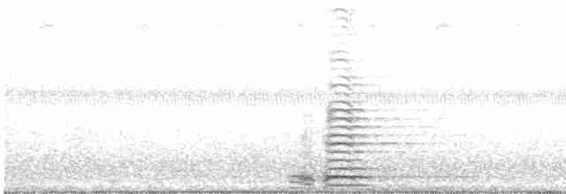 Cisne Trompetero - ML483519171