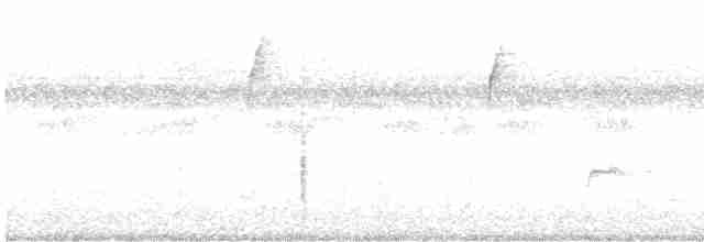 Дрізд-короткодзьоб Cвенсона - ML483540461