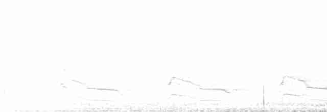 Rotschulterbussard [lineatus-Gruppe] - ML483557281