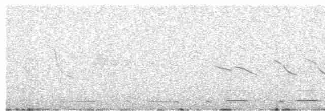 Серогрудый зобатый бегунок - ML483561421
