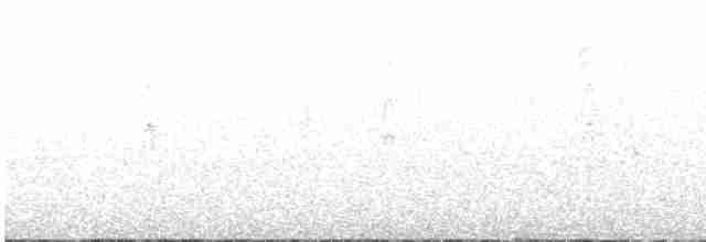 Gray Fantail - ML483594321