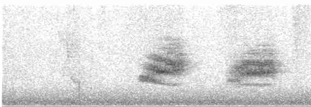 Vireo de Noronha - ML483610671