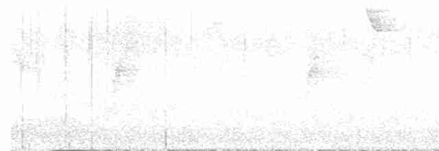 Kara Yüzlü Karıncaardıcı - ML483629561