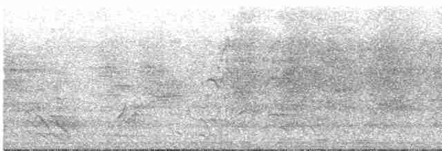 Géopélie à nuque rousse - ML483631211