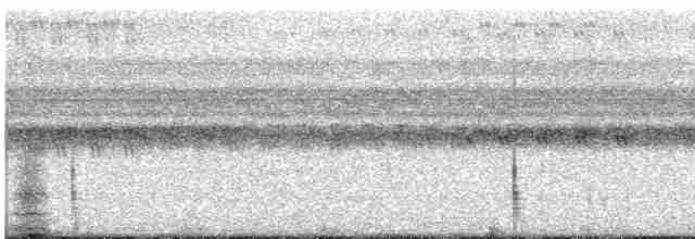Spotted Nightjar - ML483637111