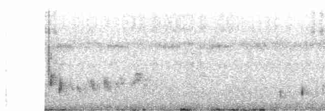 Buff-collared Nightjar - ML483675261