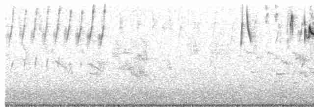 Шпаркос білобровий - ML483689251