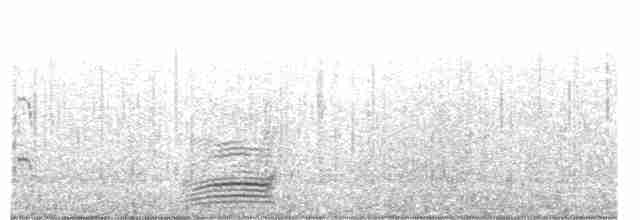 Красноногая олуша - ML483732821