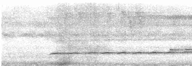 orel proměnlivý (ssp. cirrhatus/ceylanensis) - ML483737541