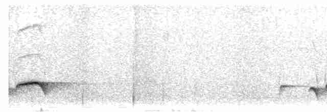 Black-headed Shrike-Babbler - ML483743021