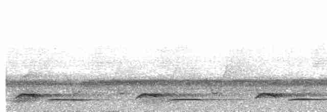 Белощёкая лесная куропатка - ML483747271