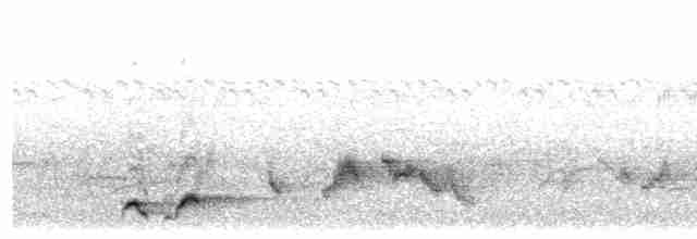Spot-breasted Scimitar-Babbler - ML483747991